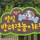 와룡천 캠핑장 이미지