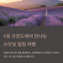 정수목장 이미지