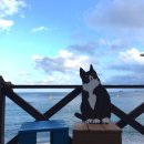 바다포토존 이미지