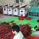 용암청정영농조합법인 이미지