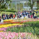 보성정원민박 이미지