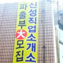 신성직업소개소 Daum카페