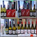 판타스틱코인노래연습장(파주운정점) | 2025년 2월 일상 3️⃣ - 케이솔프 / 파주 브리글하우스 &amp; 쟈빠따 &amp; 고래별장 혼술 외