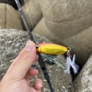 동그라미 꽃방 앞 이미지