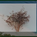 산청금서관광지 네이버블로그