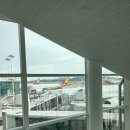 직항, 히드로 공항에서 시내 이동, 스트랜드팰리스 호텔, 런던아이, 빅벤, 던트북스, 메이페어치피