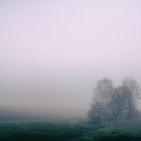 샛별세탁소 이미지