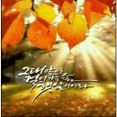 아침햇살 이미지