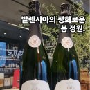 스텔라 달 마레 | 평택 와인샵 추천| 봄나물과 어울리는| 벨라 미스텔라 까바(Cava)