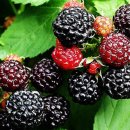 프롭테라피&밴드운동 이미지