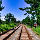 삼척엘림캠핑장 이미지