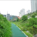 하천 Daum카페