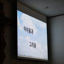 점동성당 24/06/16 김영장 신부 은퇴 이미지