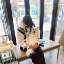 가온동물의료센터 이미지