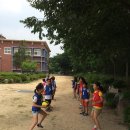 방초초 Daum카페