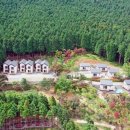 사천케이블카자연휴양림(사천) 이미지