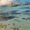 리리하우스 이미지