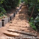 상도근린공원 산책로 이미지