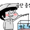 황산초지사계절바다낚시터 이미지