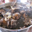 옻닭 / 한방삼계탕 벙개 이미지