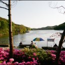 비봉 낚시터 이미지