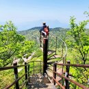 남해-275 이미지