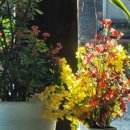 할매국밥하양점 이미지