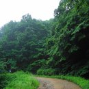 황악산(바람재목장입구~임도길~바람재~형재봉~황악산~운수암갈림길(황악산2.2km)~직지사대형버스주차장) 이미지