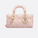 {위시리스트} Dior djoy 디올 디조이백 착용 후기(구매아님주의)
