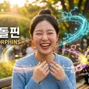 엔돌핀 - 이천시 둔터로 57-3 | 엔돌핀