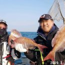 바다2호 이미지