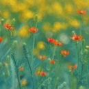 세병로5 이미지