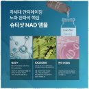 씨앤엘쁘띠