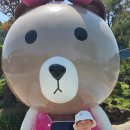 (주)씨튼 이미지