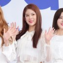 데이지 뮤직 이미지