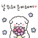 스시유우히