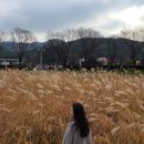 부소산성 고란사 화장실 이미지