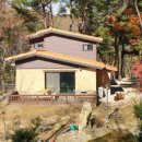 화악산 소나무 리조트 네이버블로그