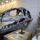 지질박물관 이미지