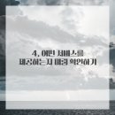 댕댕이미용실 이미지