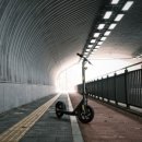 누모