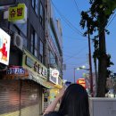 슈발제화 이미지