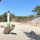 전진농장 | #16. 북한산국립공원 북한산 원효봉 코스후기 - 초보가능? 난이도 솔직리뷰 소요시간