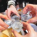 [서울/중구]풍남골뱅이_ 을지로3가 힙지로 3차 1975년 창업 백종원 3대천왕 원조 맛집