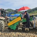 임자농업협동조합 이미지