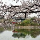 경대교 주변 이미지