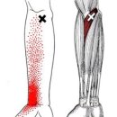 칠성메디칼 이미지