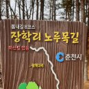노루목길1 이미지