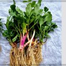 자경농장 이미지