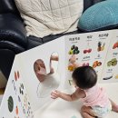 신난파